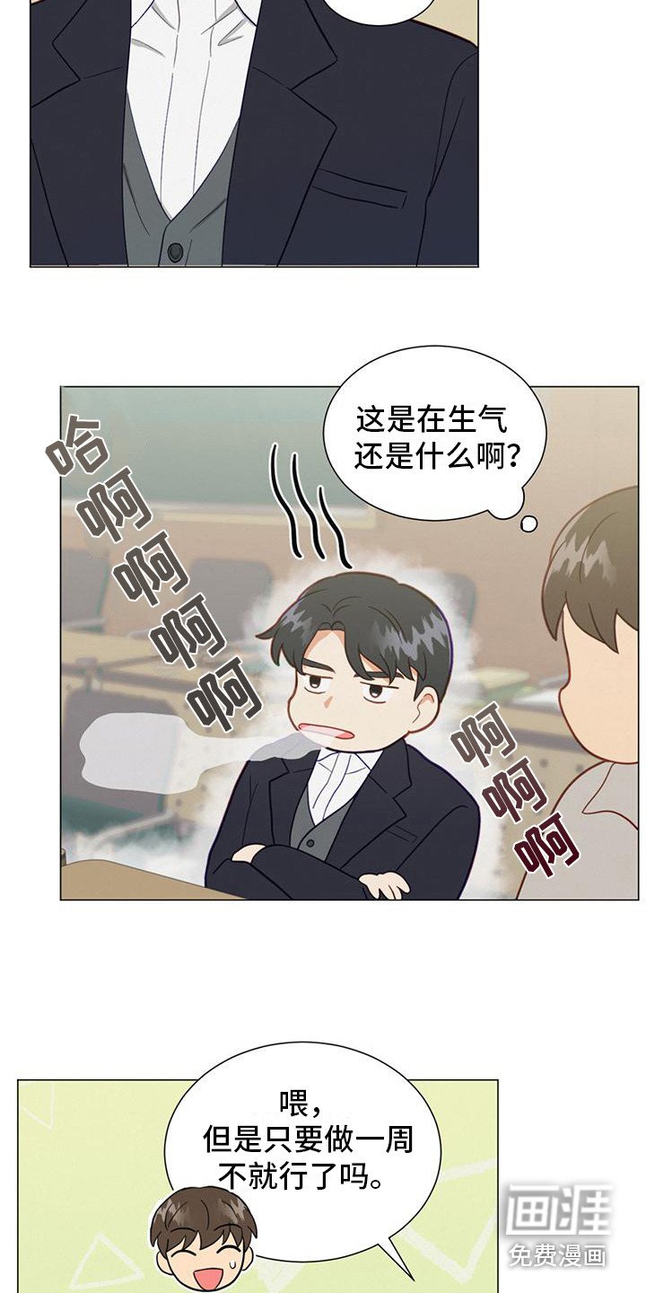第21章：小组课题