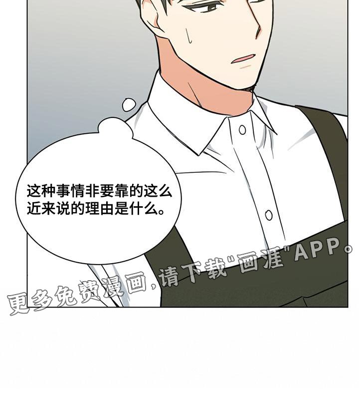 第28章：疯狂的理由