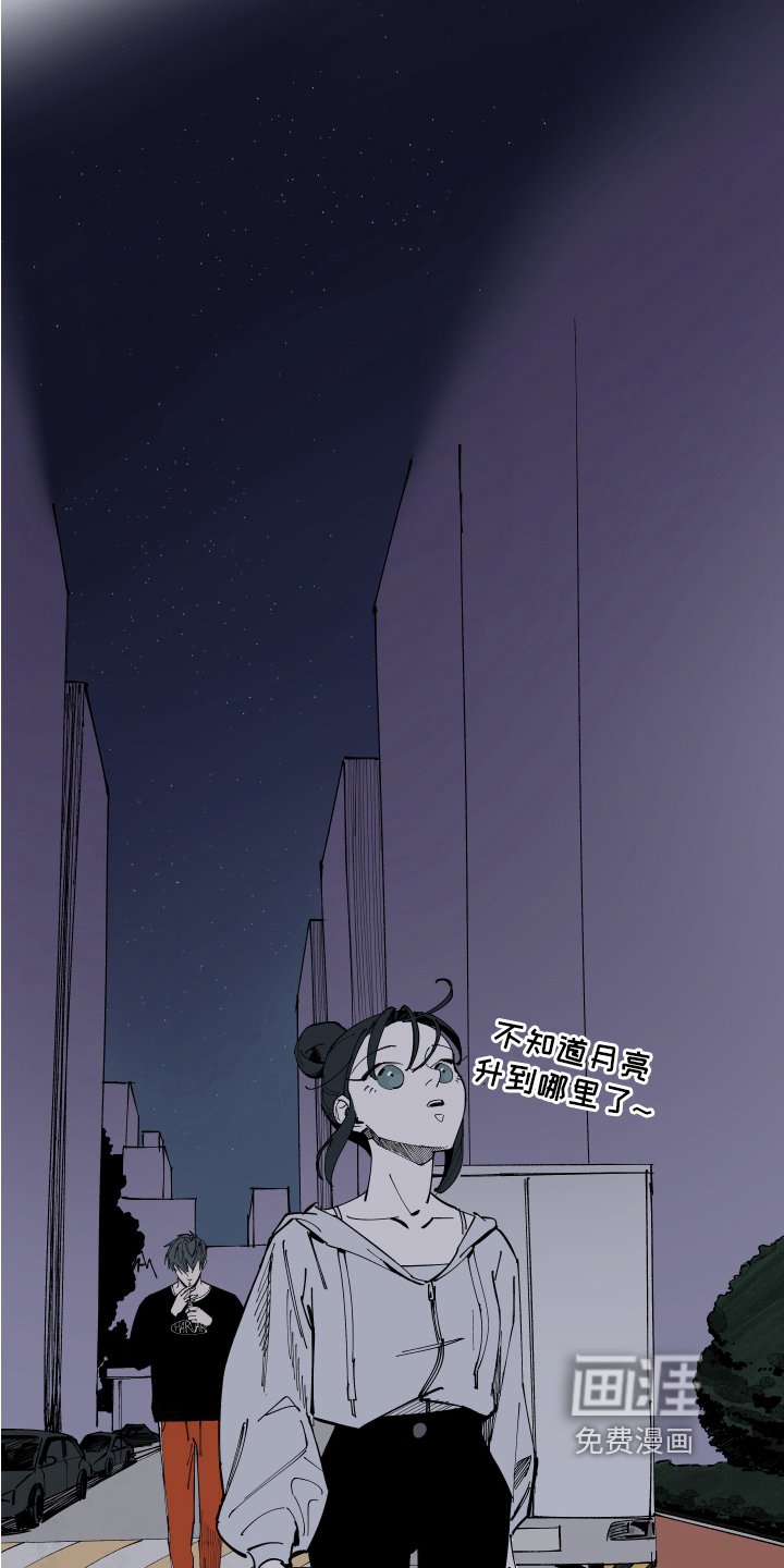 第12章：问题