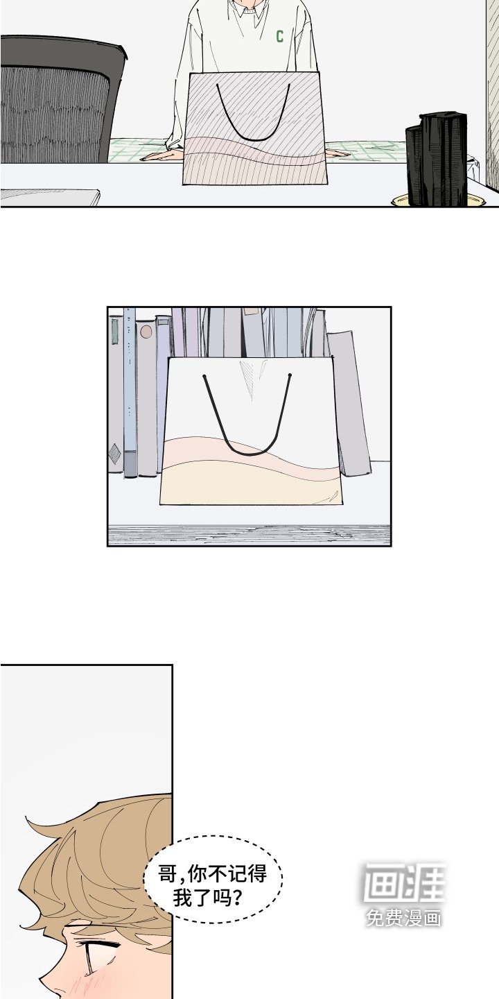 第8章：提示