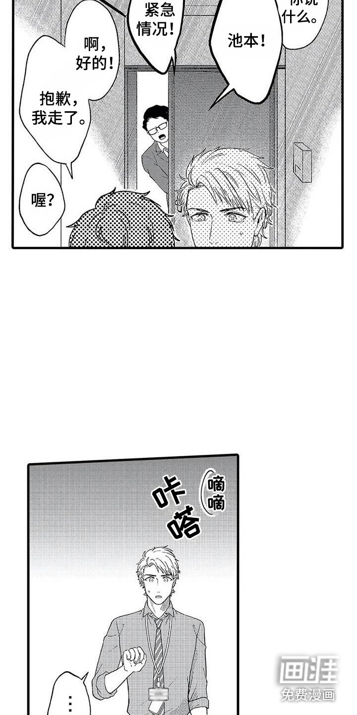 第17章：聊天