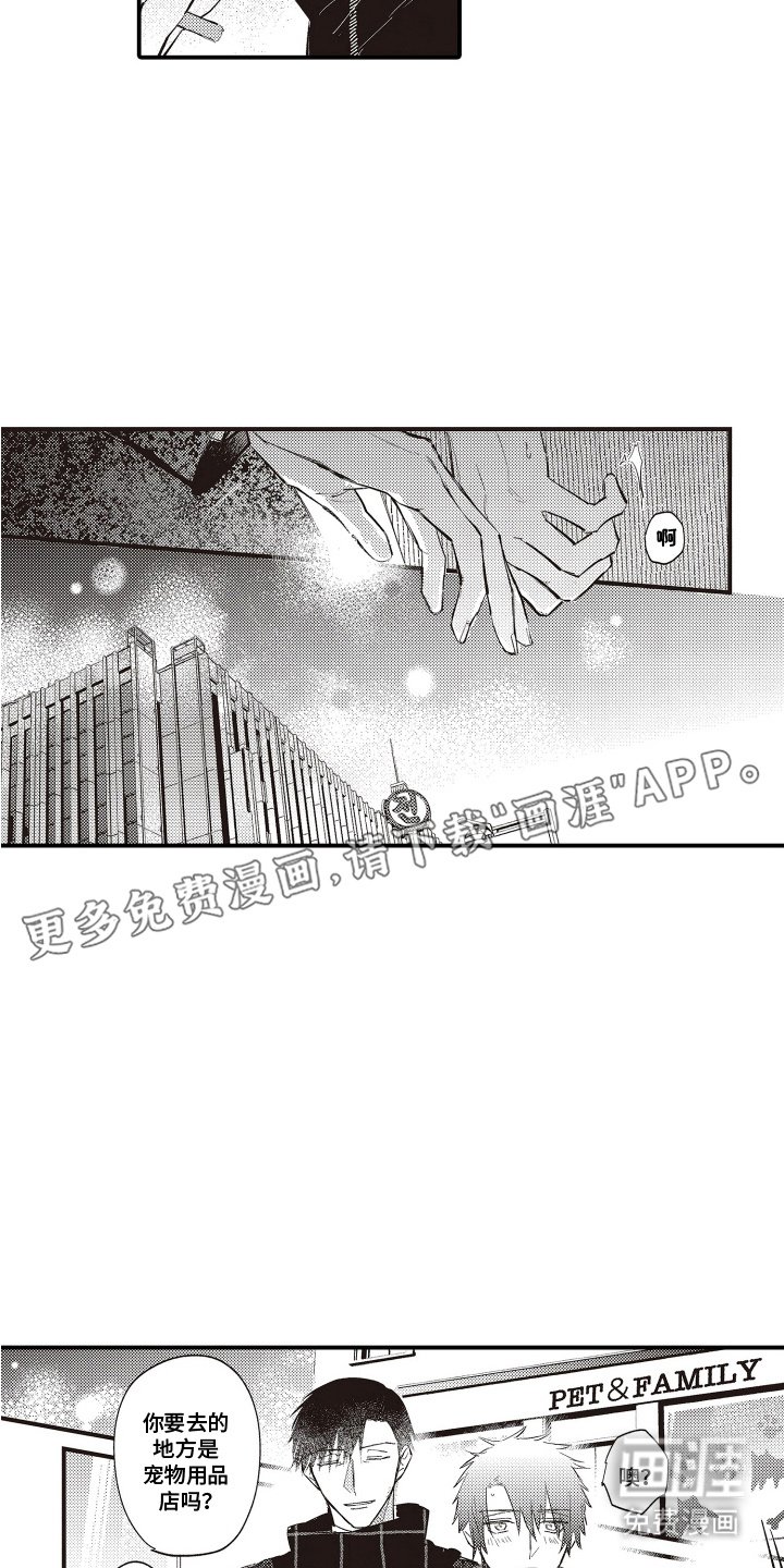 第20章：【番外】特别的存在