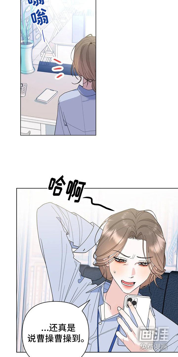 第11章：赏花