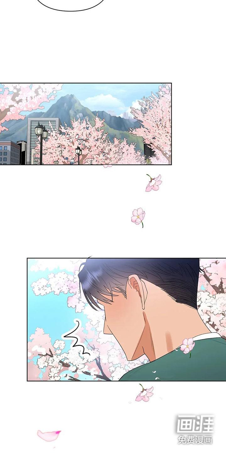 第11章：赏花