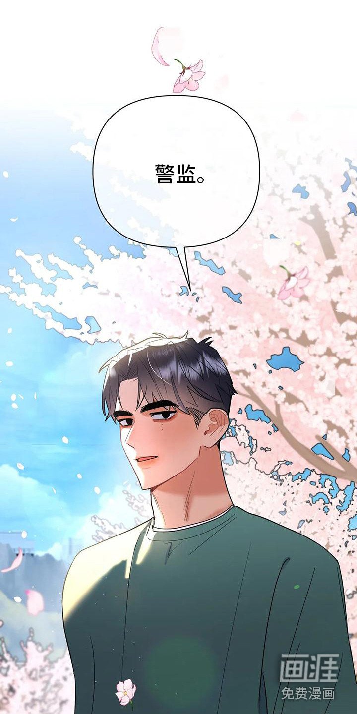 第11章：赏花
