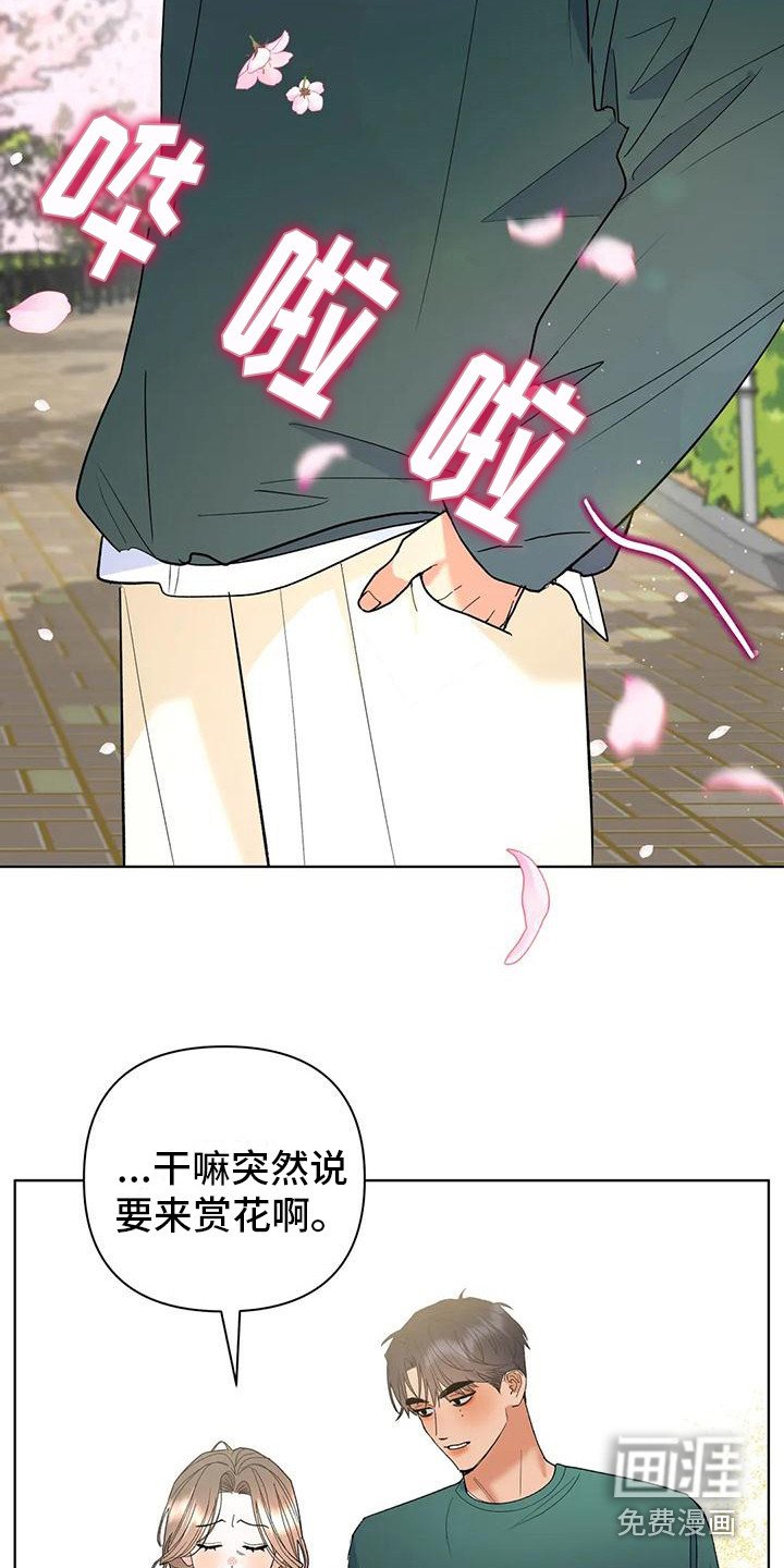 第11章：赏花