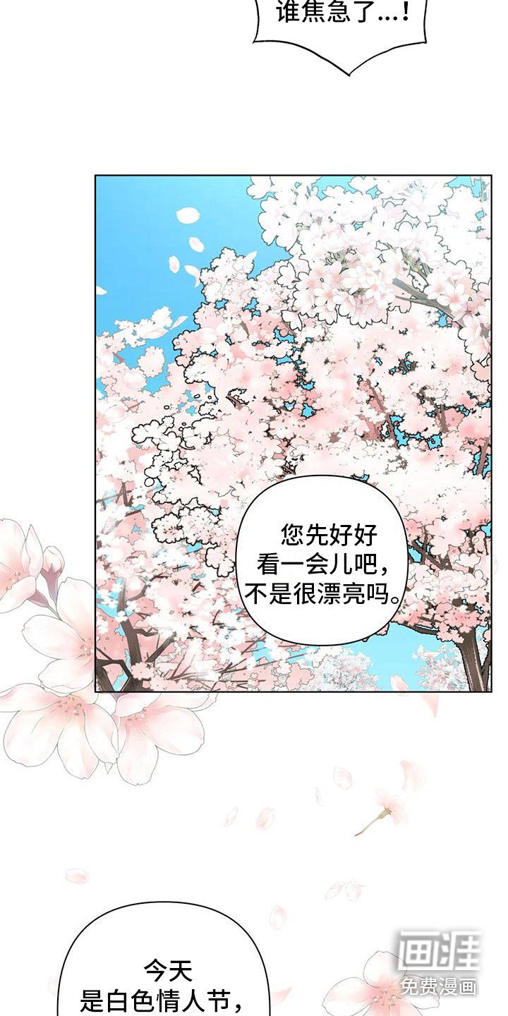第11章：赏花