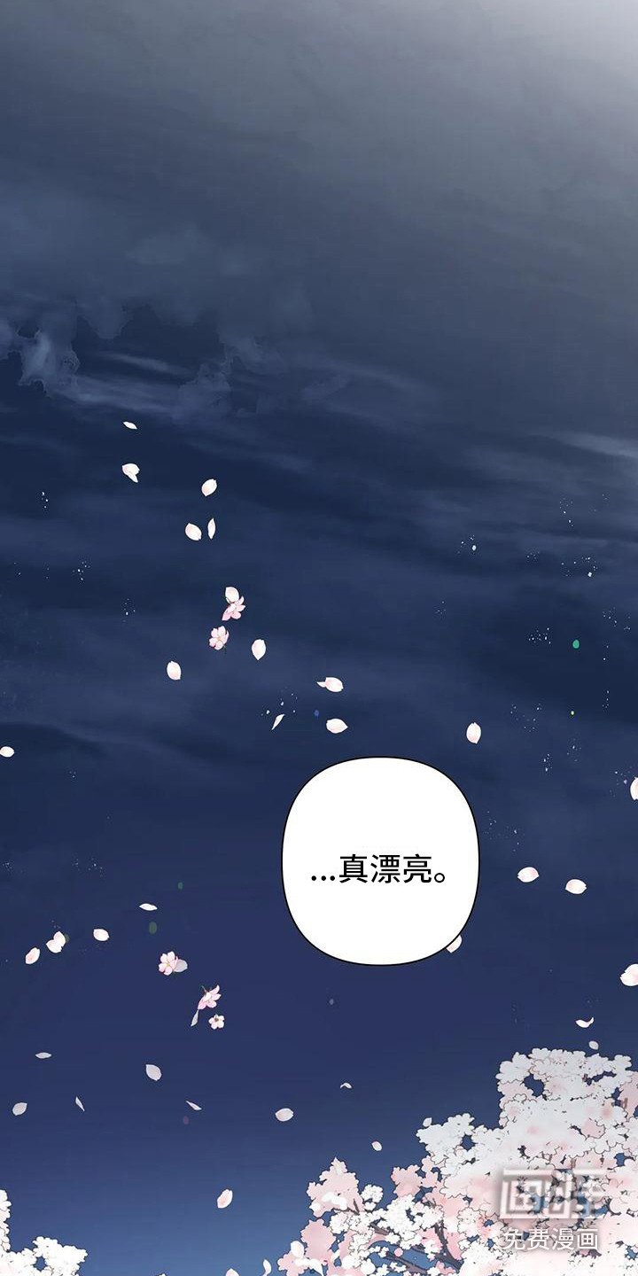 第13章：烟花