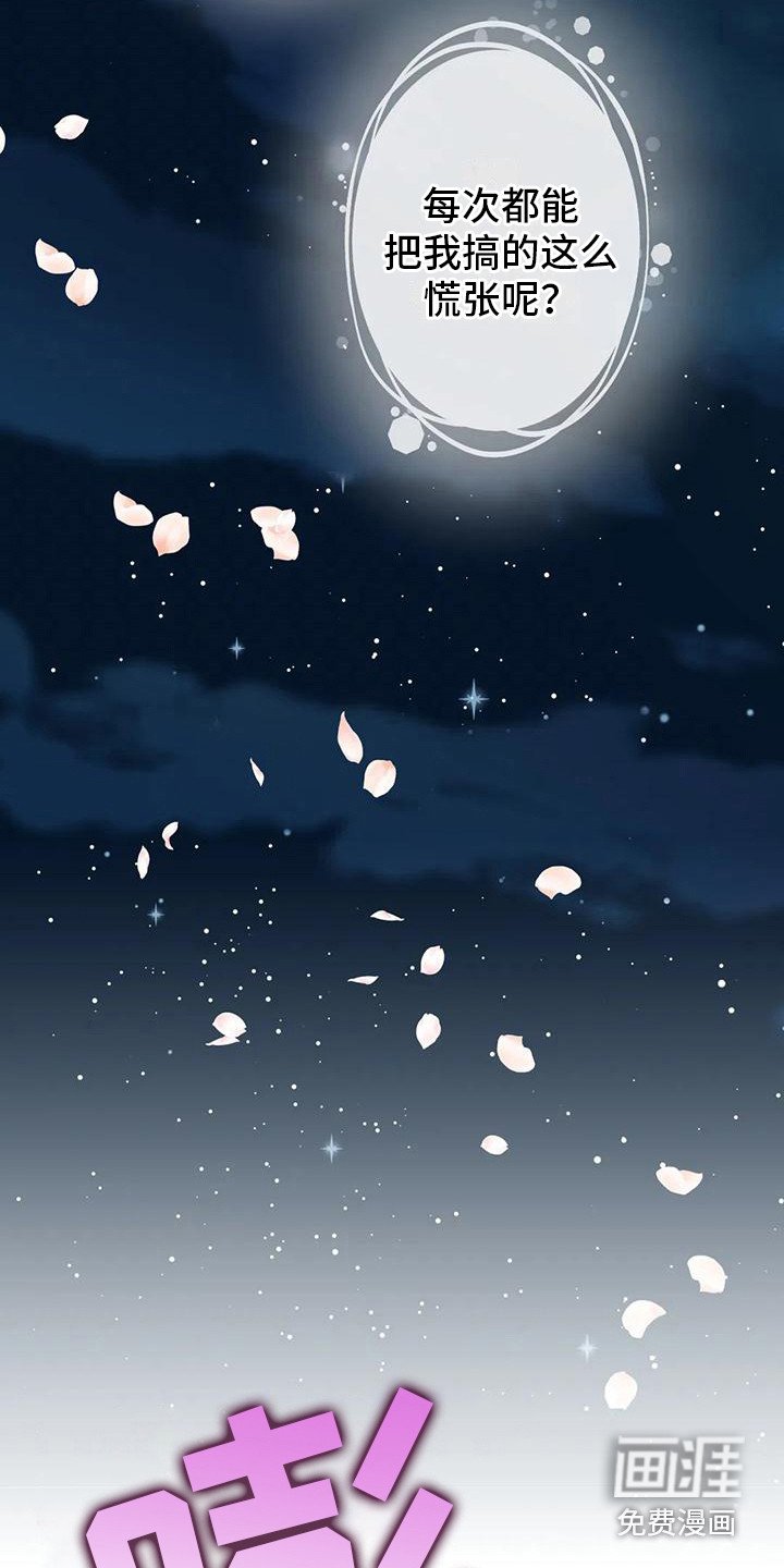第13章：烟花