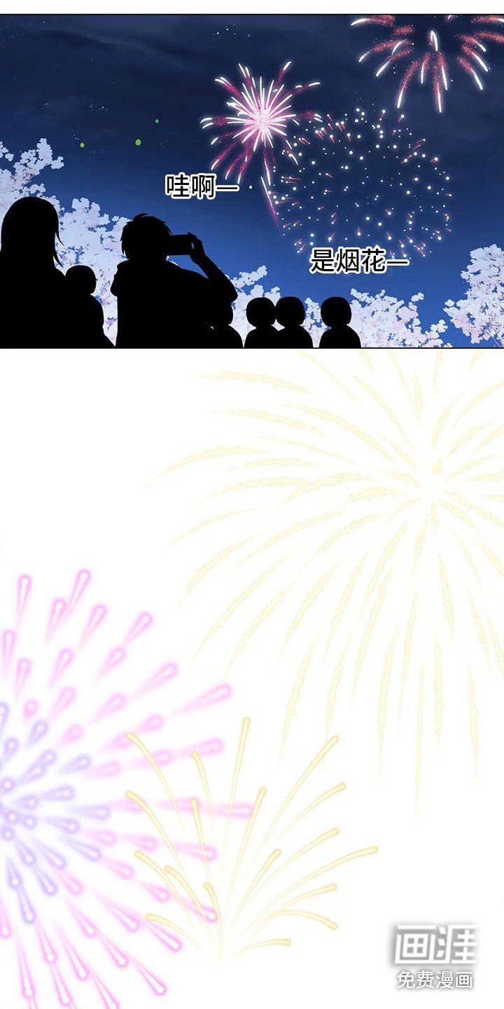 第13章：烟花