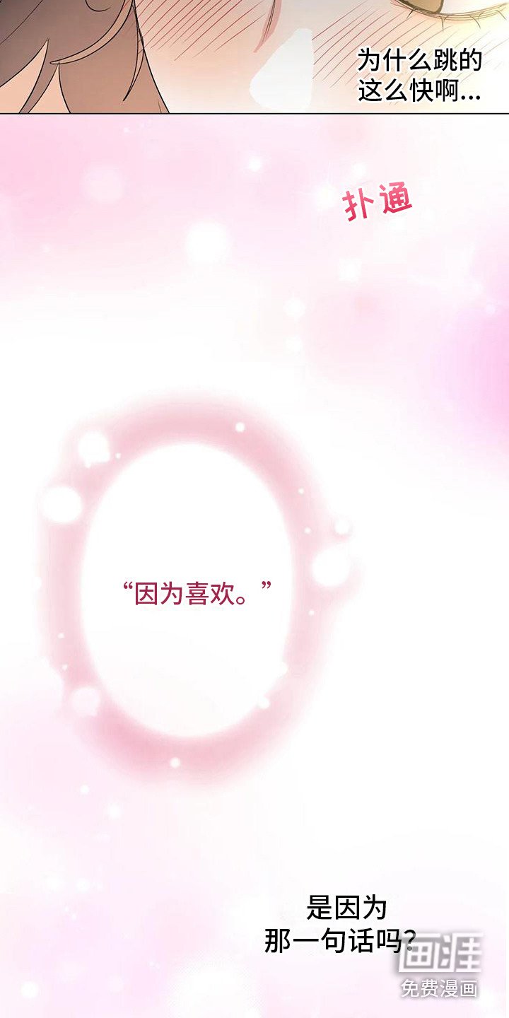 第15章：表白