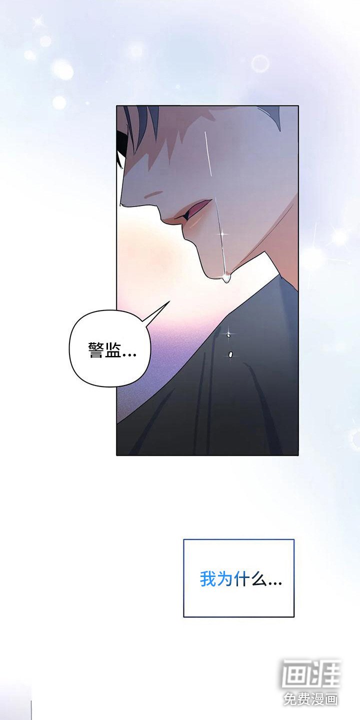 第19章：全是白费
