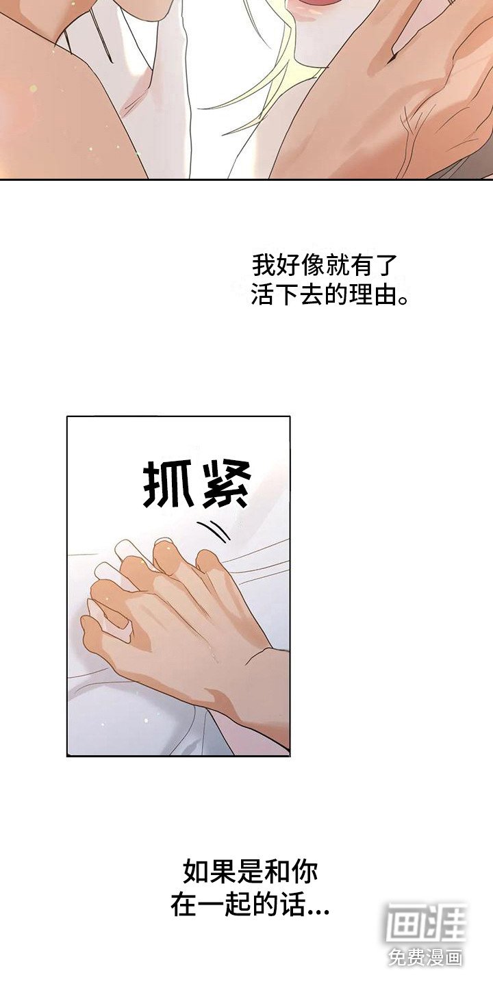 第21章：直面感情（完结）