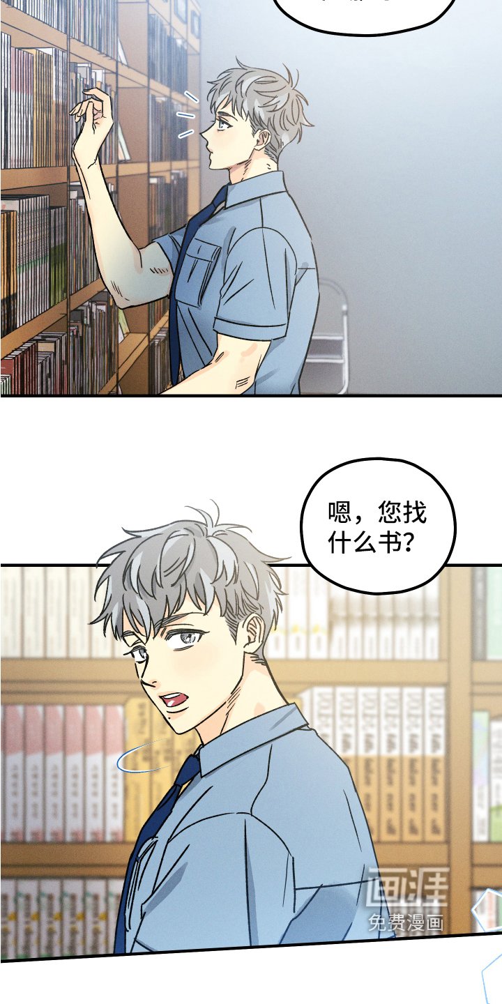 第13章：相遇
