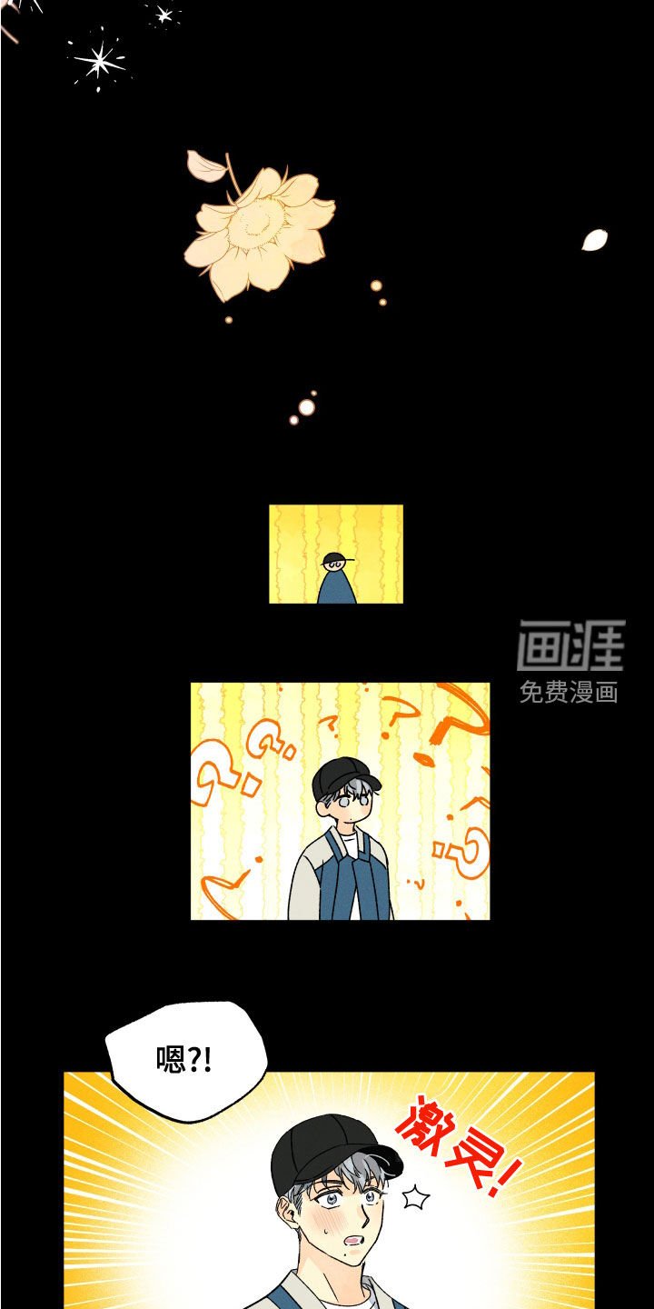 第25章：假设