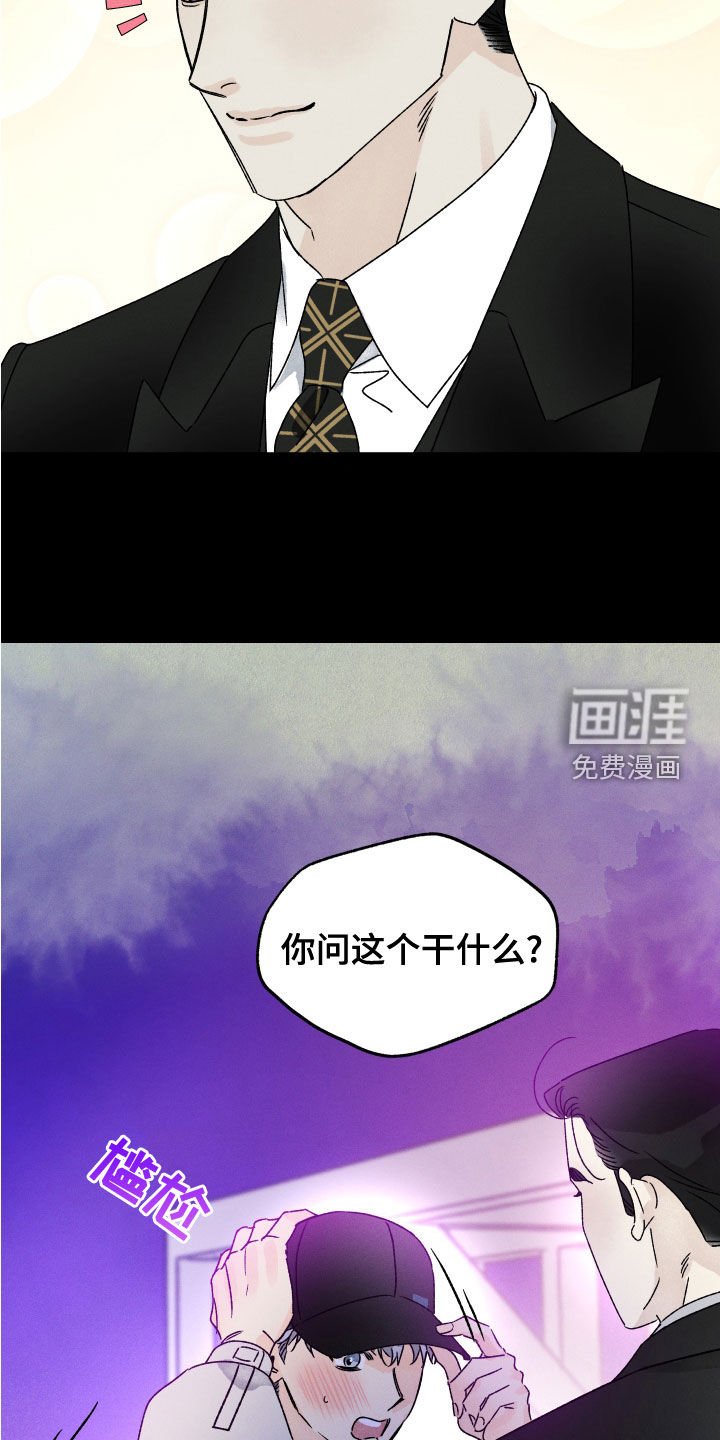 第25章：假设