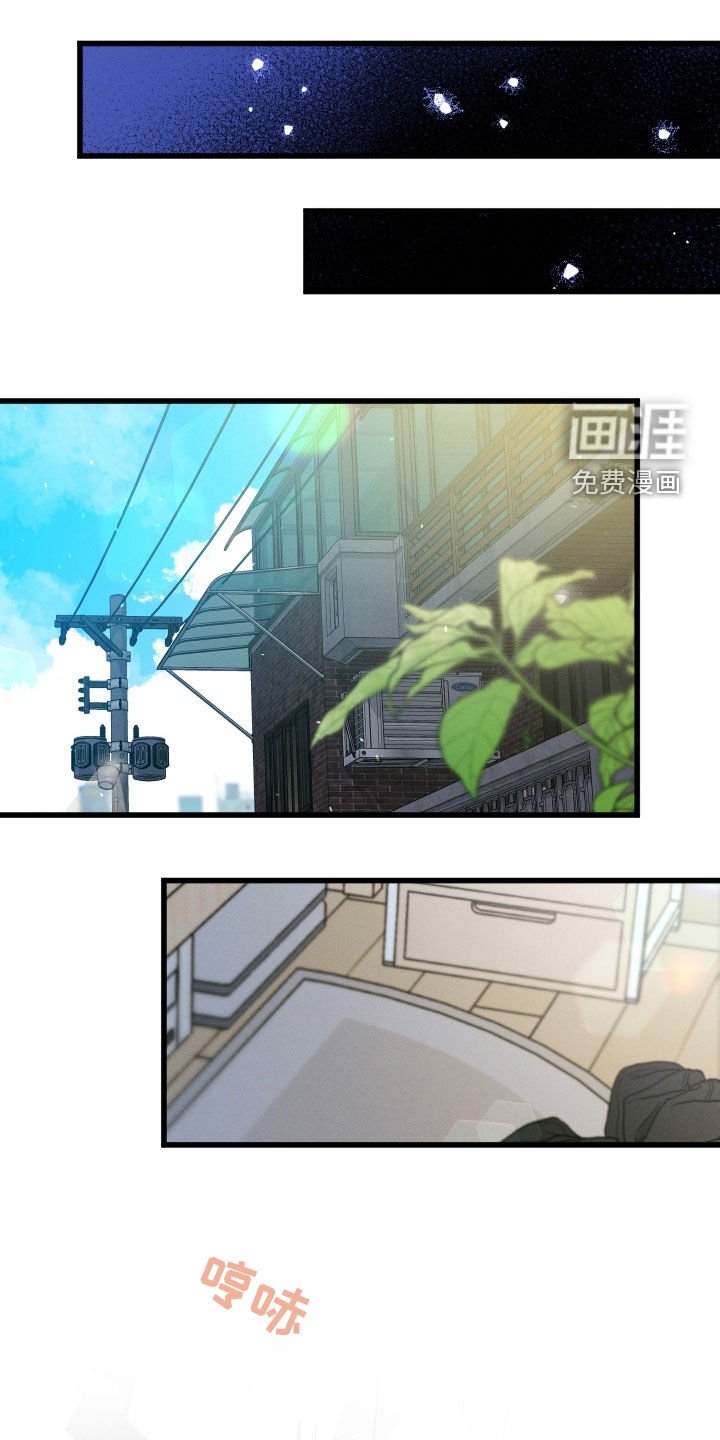 第36章：叫我护星