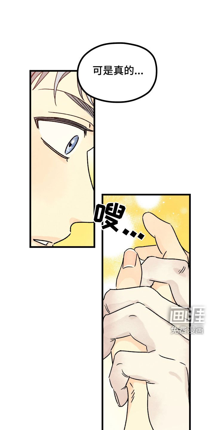 第36章：叫我护星
