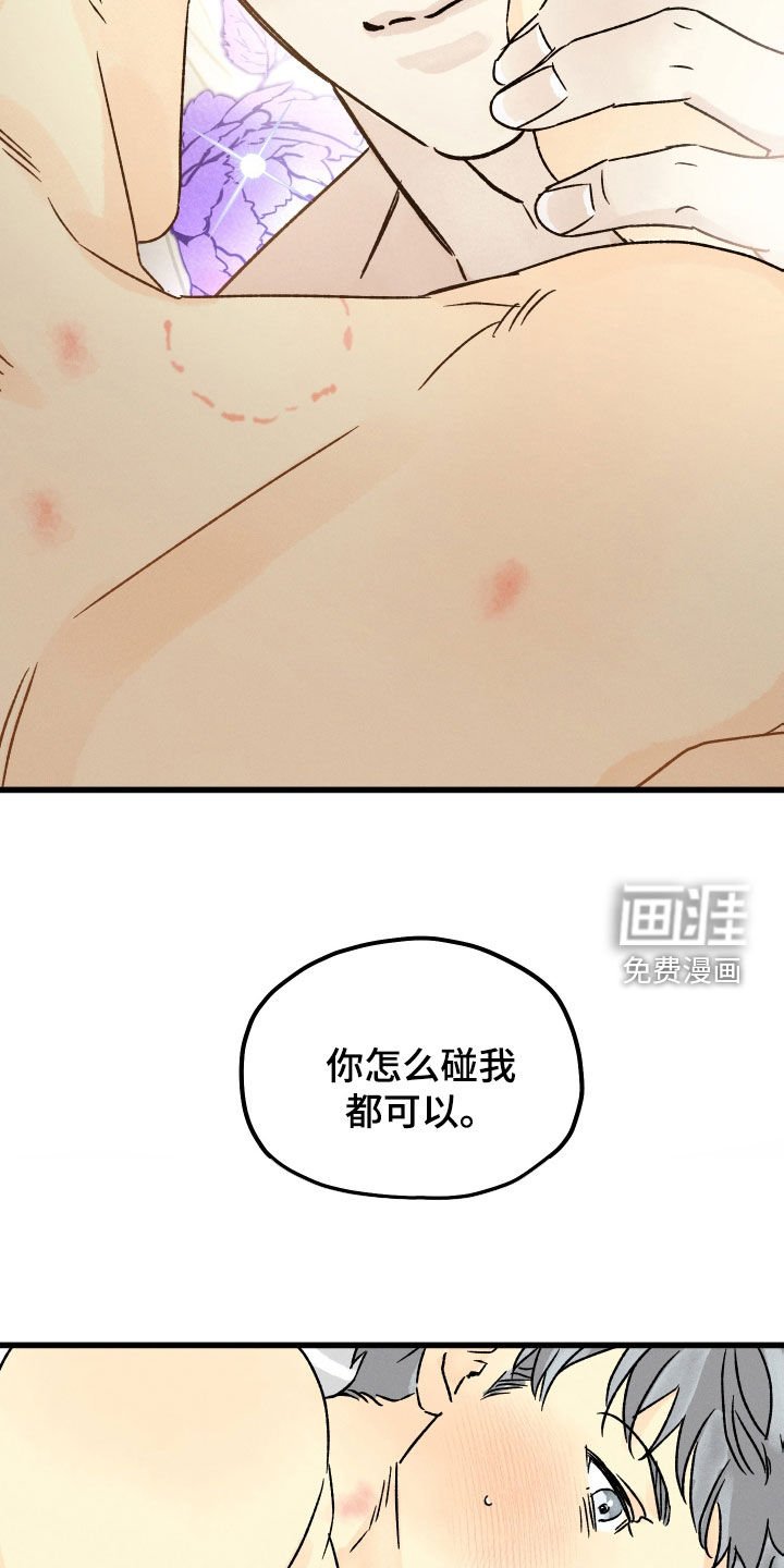第36章：叫我护星