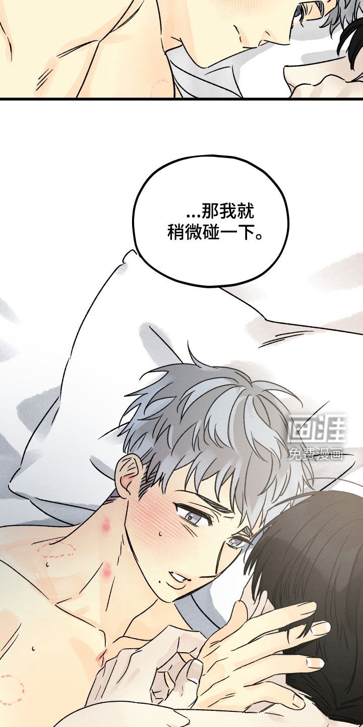 第36章：叫我护星