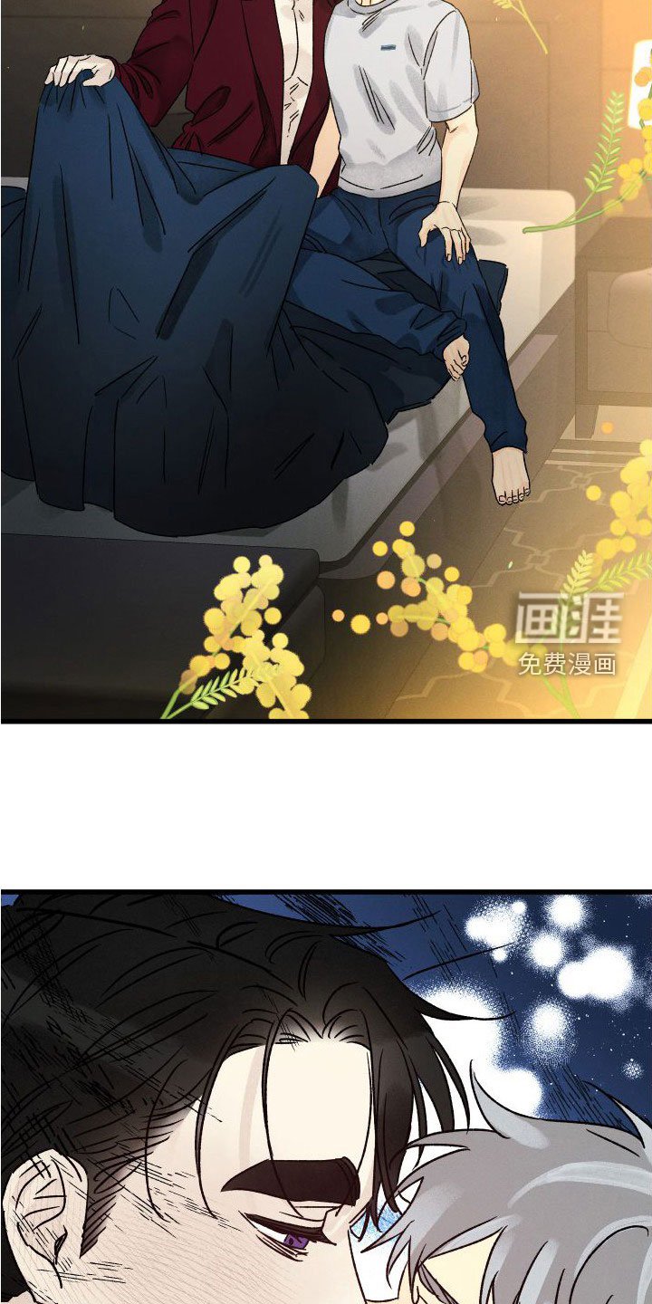 第39章：让我保护你