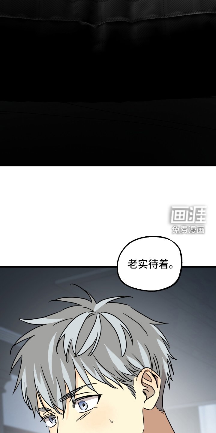 第78章：【第二季】主动