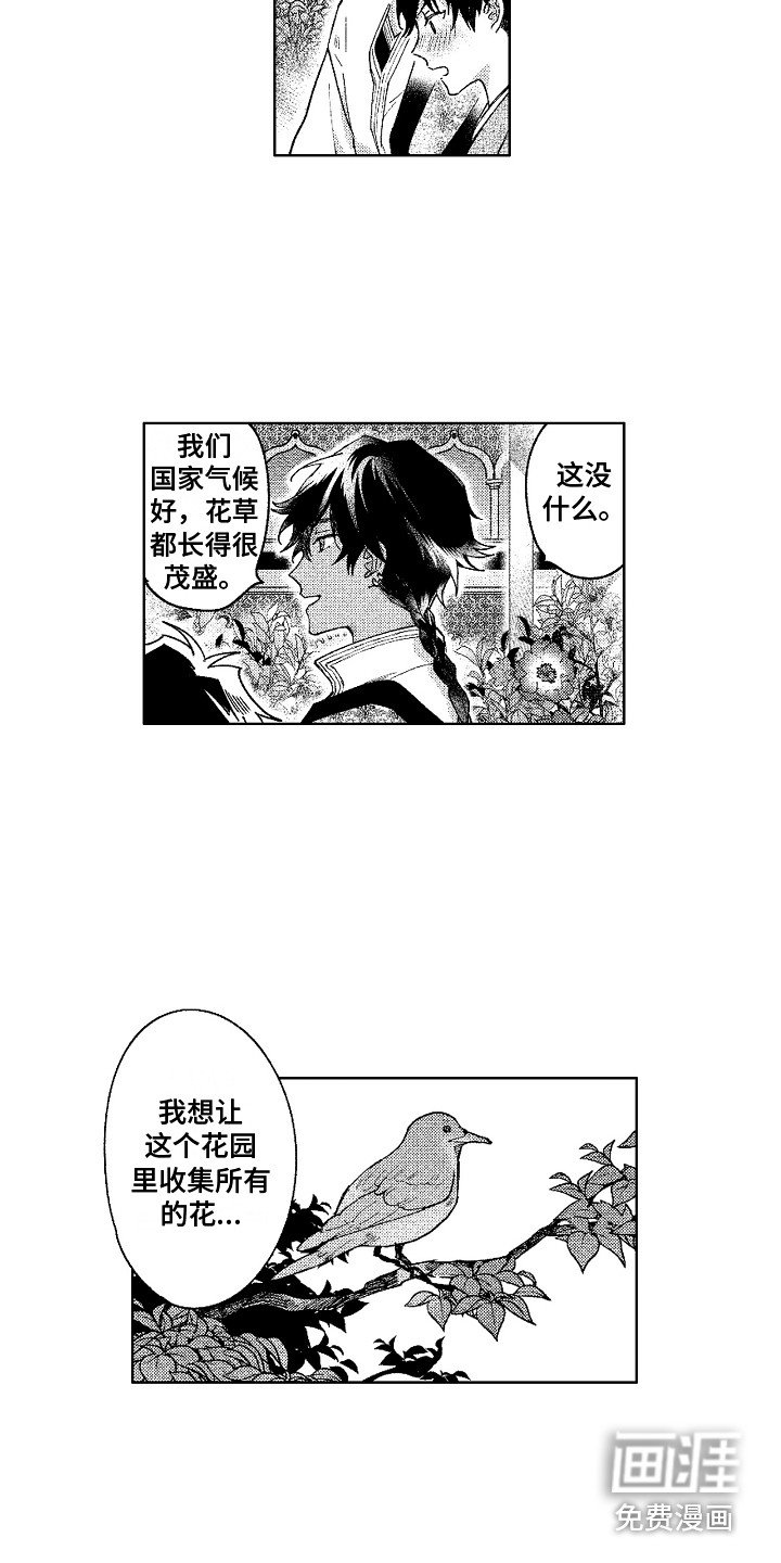第19章：花园