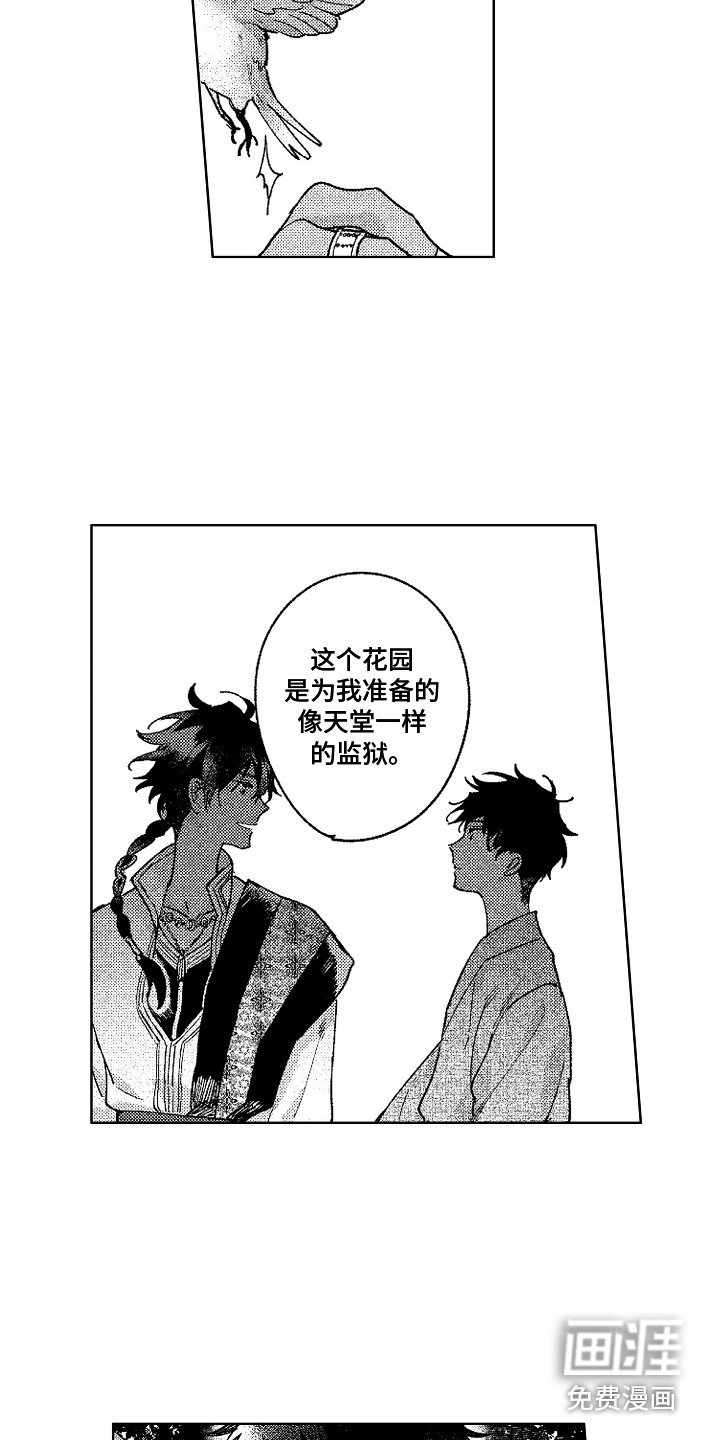 第19章：花园