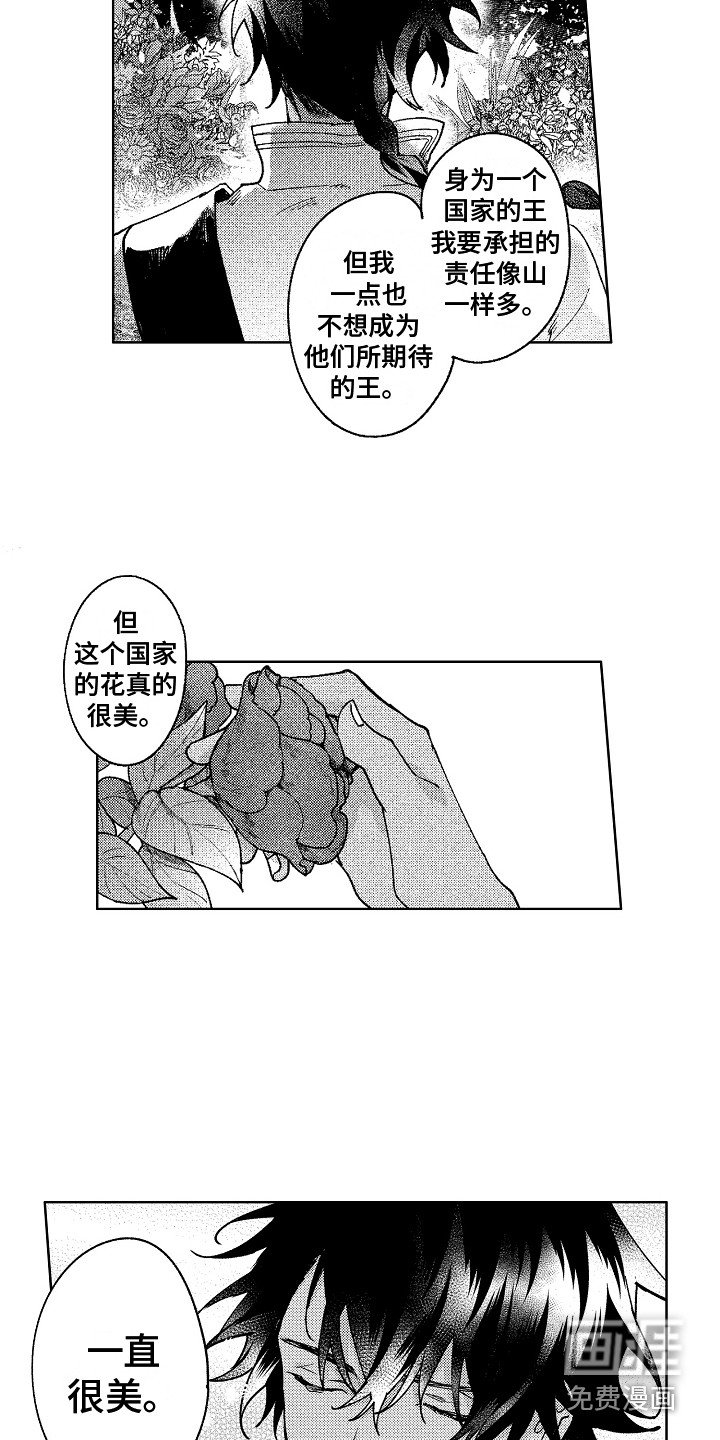 第19章：花园