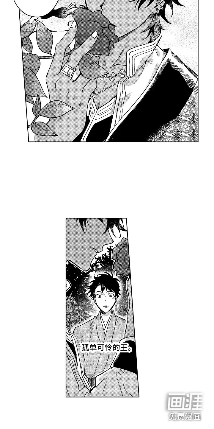 第19章：花园