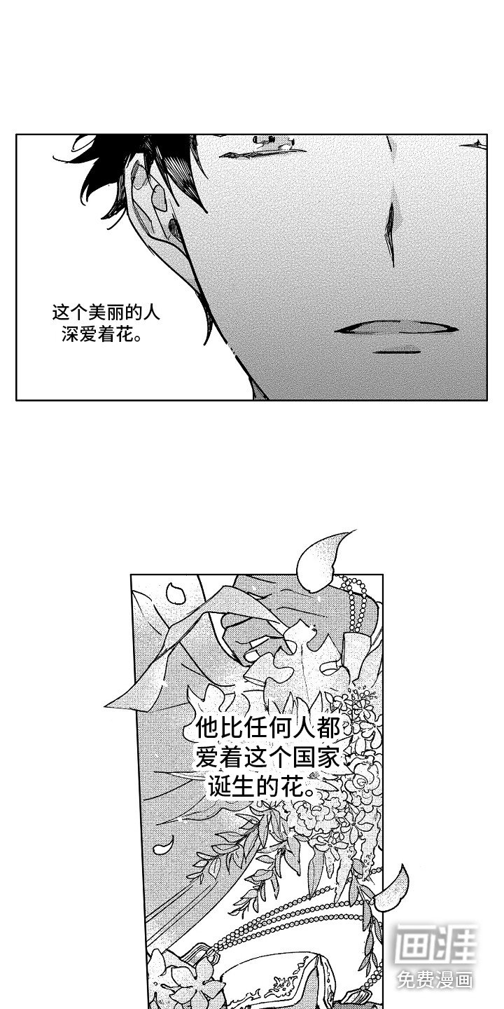 第19章：花园