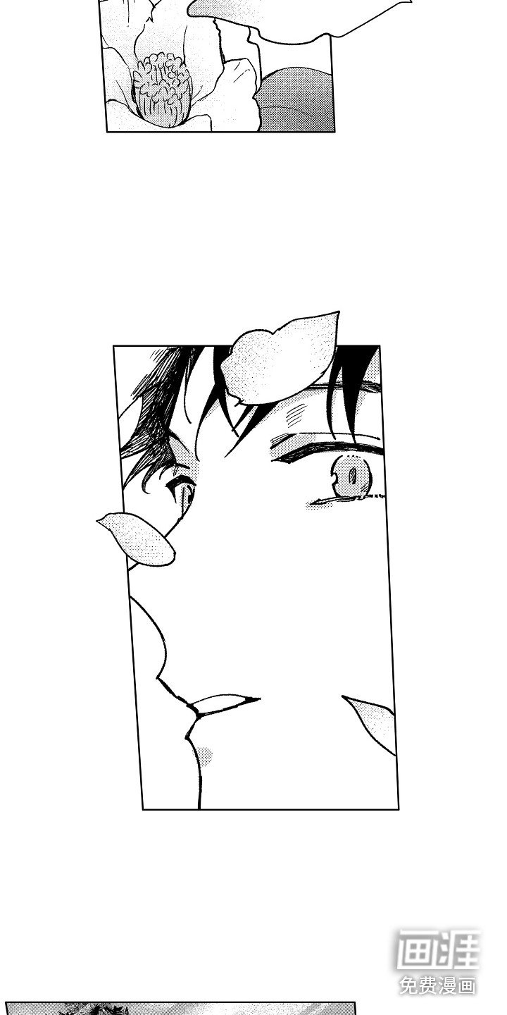 第19章：花园
