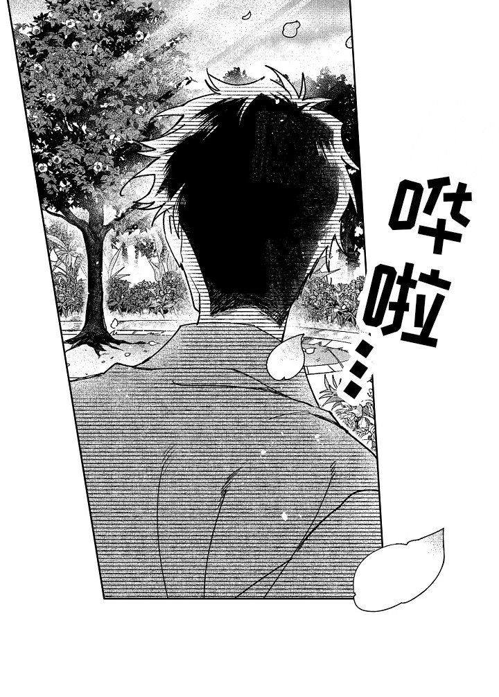 第19章：花园