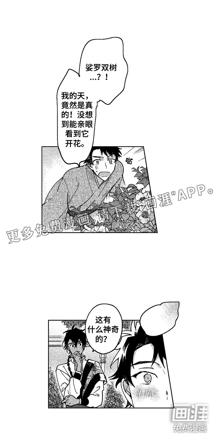 第20章：微妙的感情