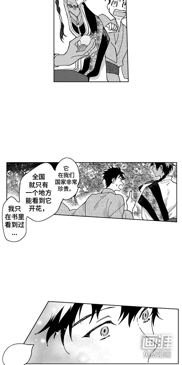 第20章：微妙的感情