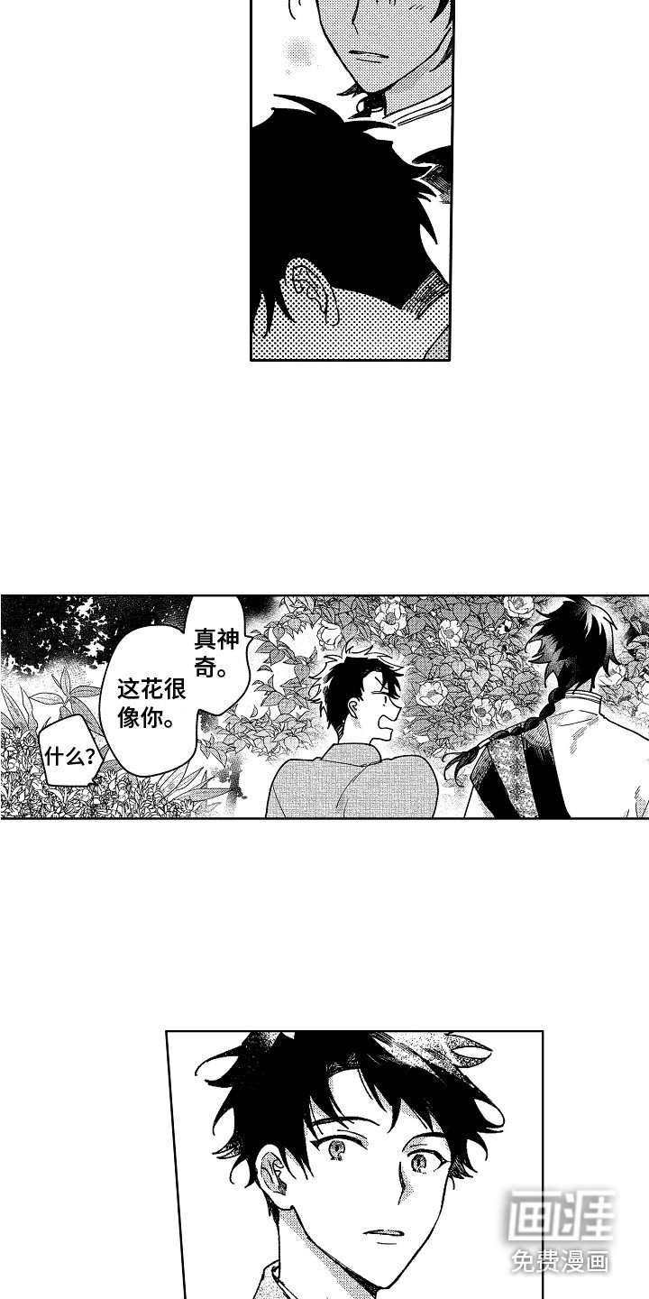 第20章：微妙的感情