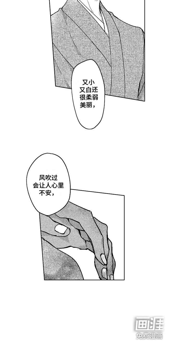 第20章：微妙的感情