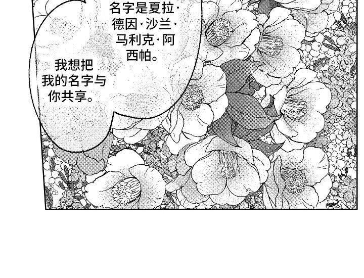 第26章：忘不掉