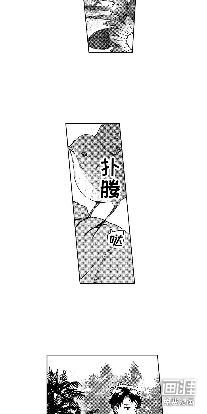 第27章：求婚（完结）