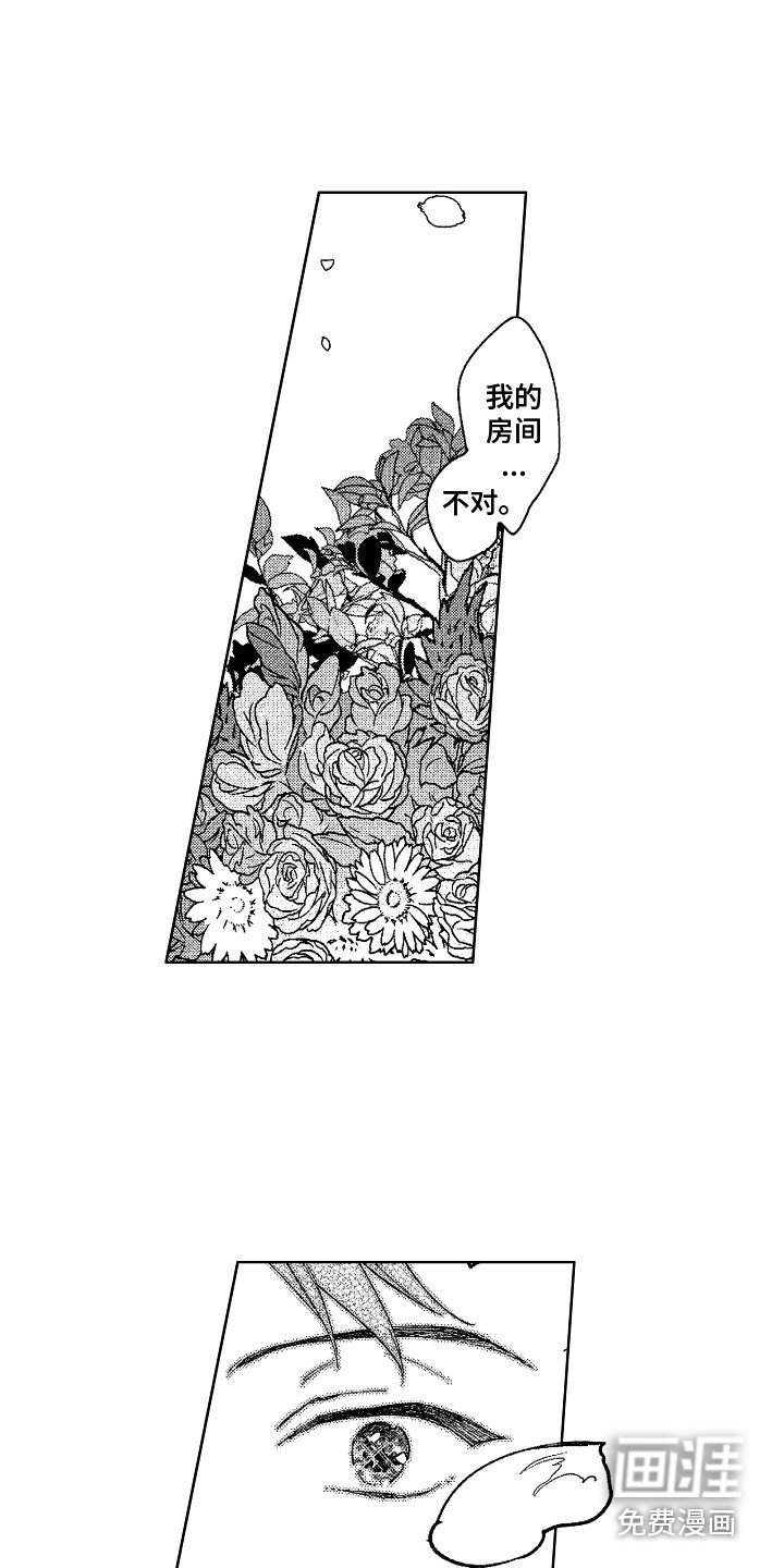 第4章：镜中世界