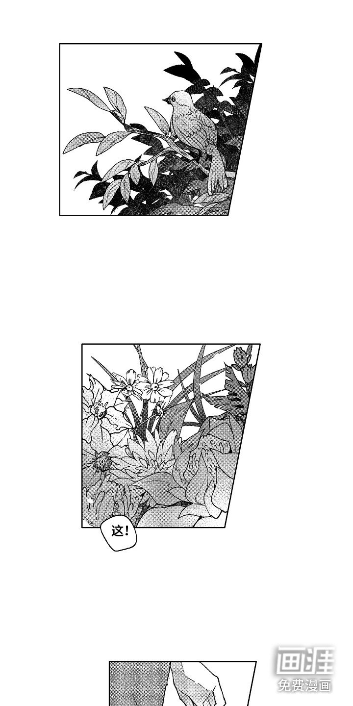 第4章：镜中世界