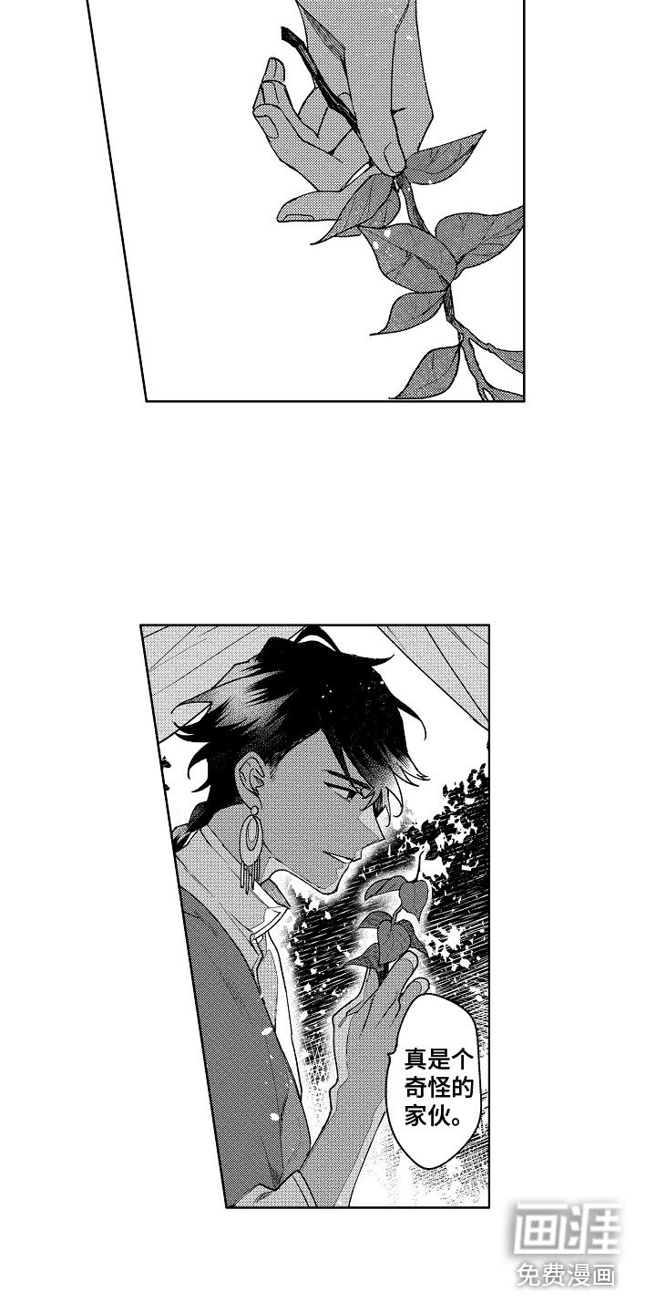 第6章：又来了