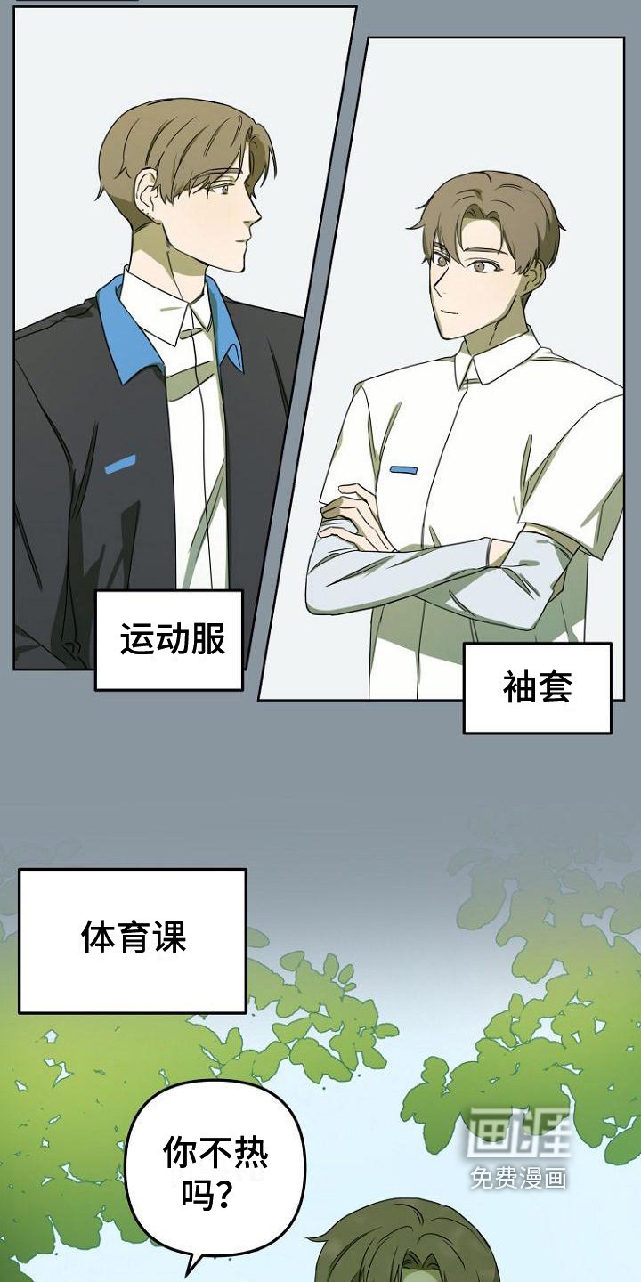 第13章：印象