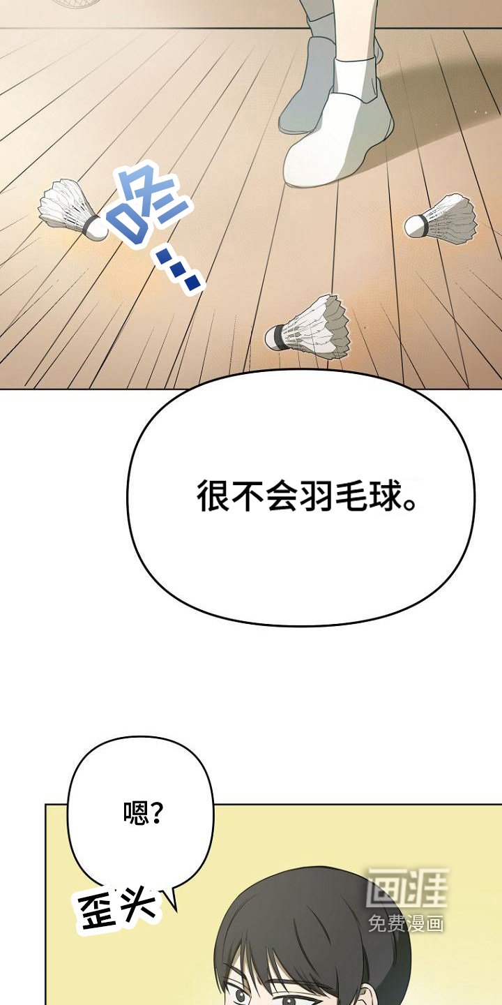 第18章：不会羽毛球
