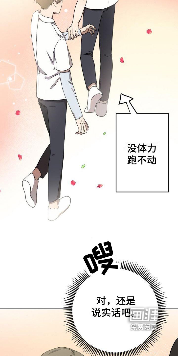第28章：实话