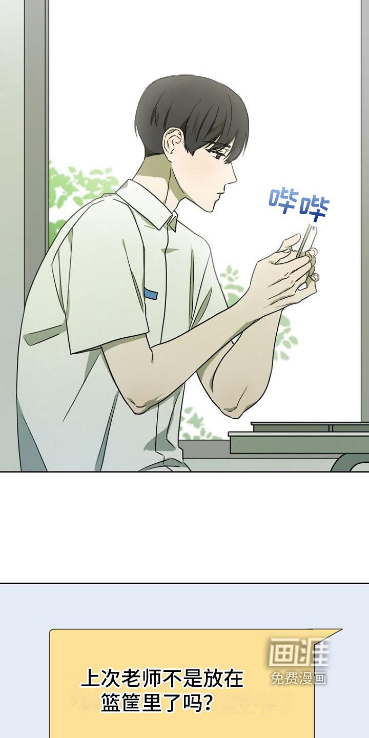 第29章：惊讶