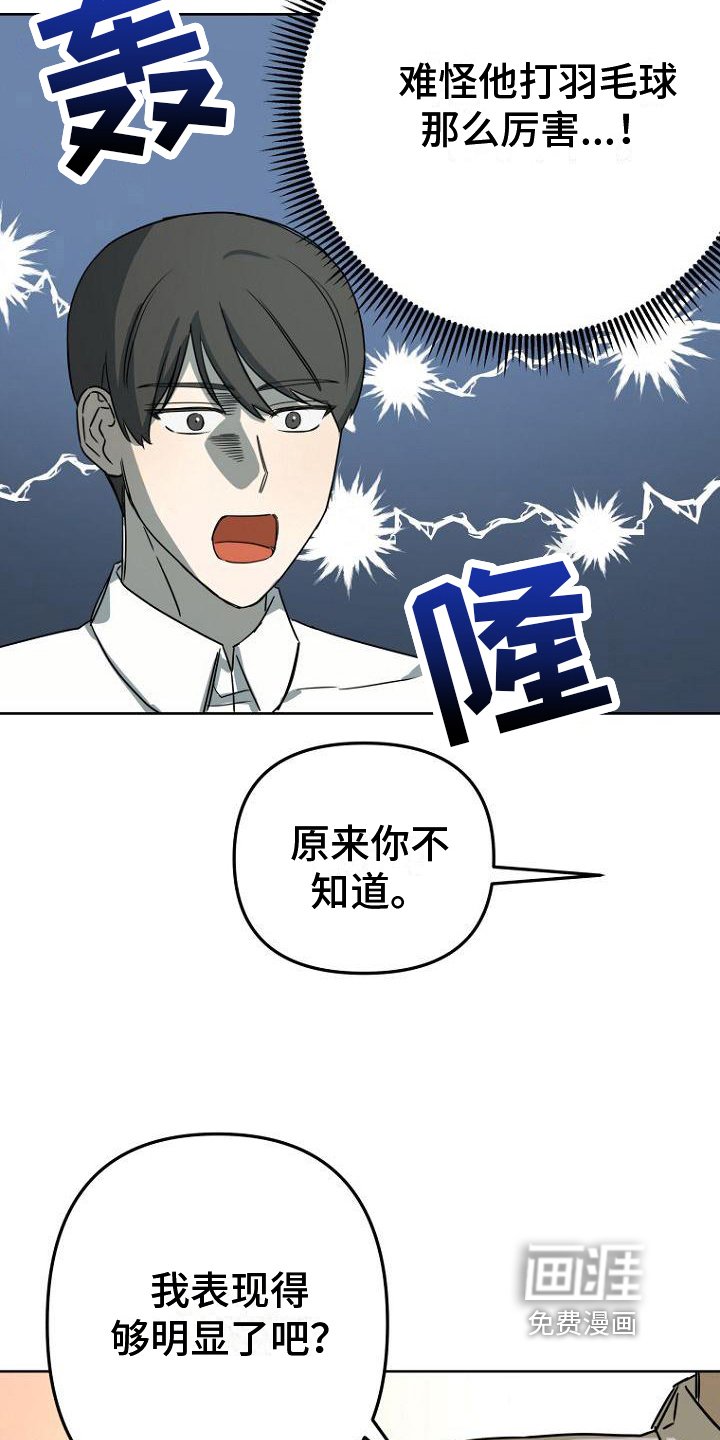 第30章：明显
