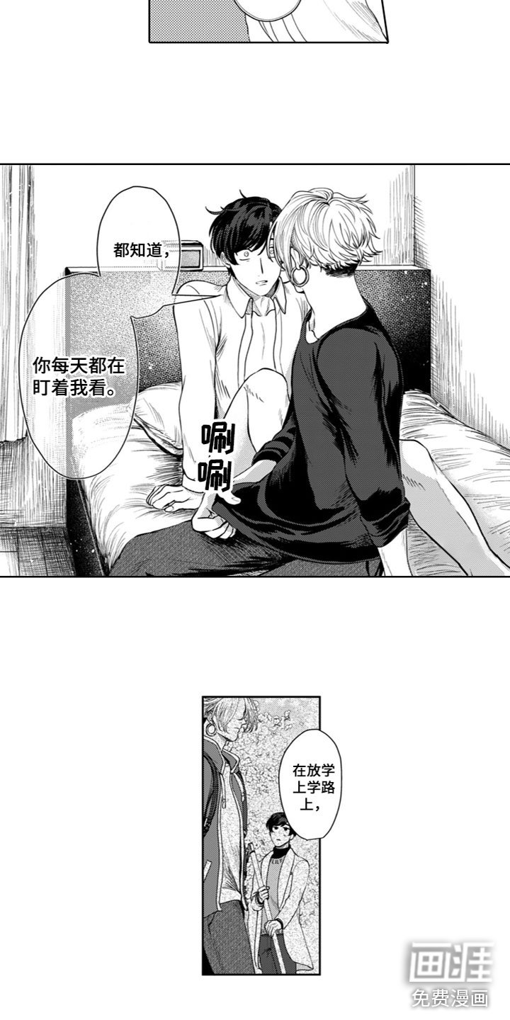 第8章：交往吗？