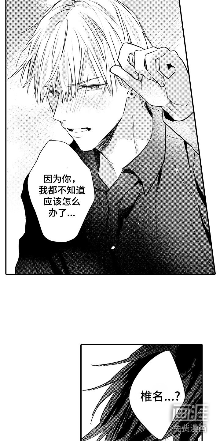第14章：解释