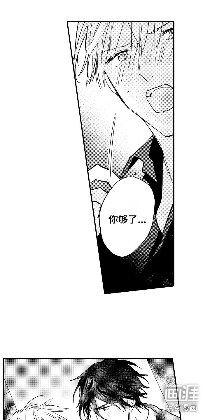 第14章：解释